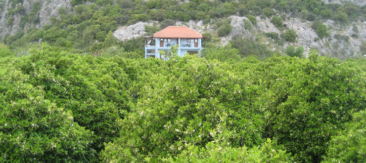 GRAND AYGUN HOTEL