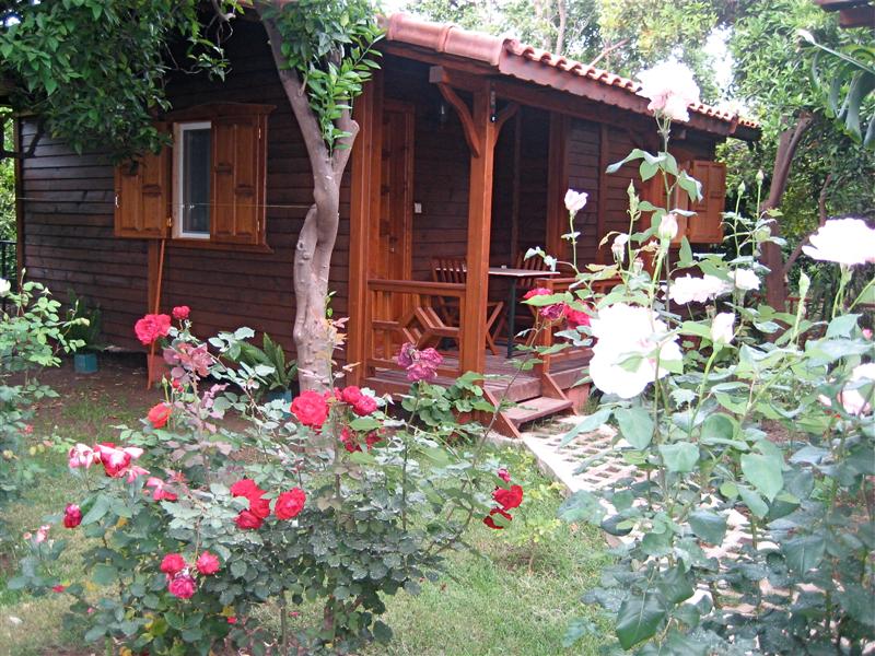 &Ccedil;IRALI - OLIMPOS